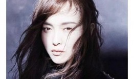 高冷型最新爆料,揭秘神秘背后的真实故事