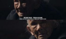 电影三十二在线观看,探寻历史记忆的深度之旅