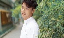 娱乐圈吃瓜真情侣,甜蜜互动背后的秘密恋情